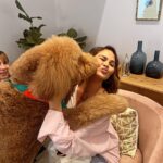 Chrissy Teigen Instagram - wild couple days back in LA doing all things @kismet!! little sneak peak at our incredibly cute first-ever dog house party!! thank you to everyone who came out last night with your pups!! we are creating the best little community ever here and we are so happy to see so many people be a part of it!!