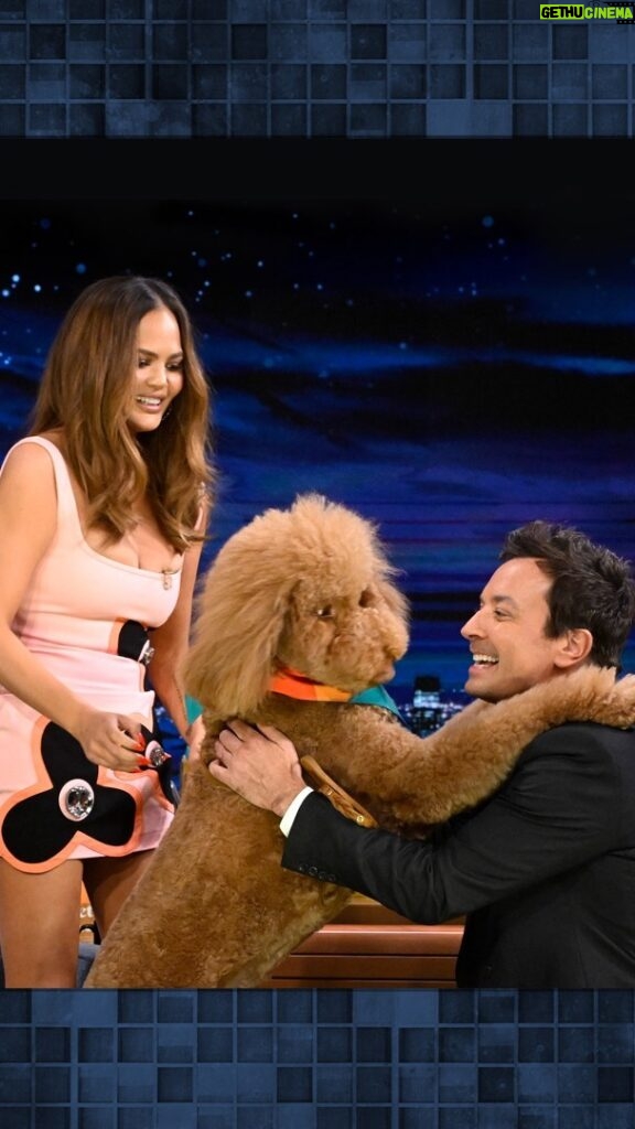 Chrissy Teigen Instagram - @chrissyteigen and @johnlegend bring out their dogs Petey and Penny and give them some @kismet treats! #FallonTonight