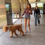 Chrissy Teigen Instagram - wild couple days back in LA doing all things @kismet!! little sneak peak at our incredibly cute first-ever dog house party!! thank you to everyone who came out last night with your pups!! we are creating the best little community ever here and we are so happy to see so many people be a part of it!!