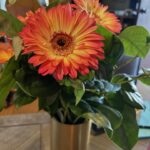Christian Navarro Instagram - A collection of flowers I’ve photographed these last few weeks, on my morning walks. These little moments always leave me refreshed. Beauty is everywhere folks. Stop and see!
