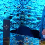Christiane Endler Instagram – #Ad En este día y siempre. Por ti, Mamá
#BlueLabel #DíadelaMadre @johnnie_walker_chile #Menoresniunagota