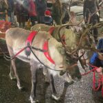 Christina Hendricks Instagram - Merry Christmas from a reindeer parade in the Scottish Highlands 🎄