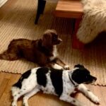 Christina Hendricks Instagram - Triscuit and @hold.the.beans
