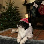 Christina Hendricks Instagram – More Irish activities with a little Scottish Buccaneers thrown in from last year.Triscuit, Anita came to Ireland!, @slowdiveofficial !, @alessandrarich in Paris!, Small town big story…