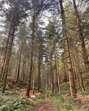 Christina Hendricks Instagram - A little Ireland catch up #smalltownbigstory