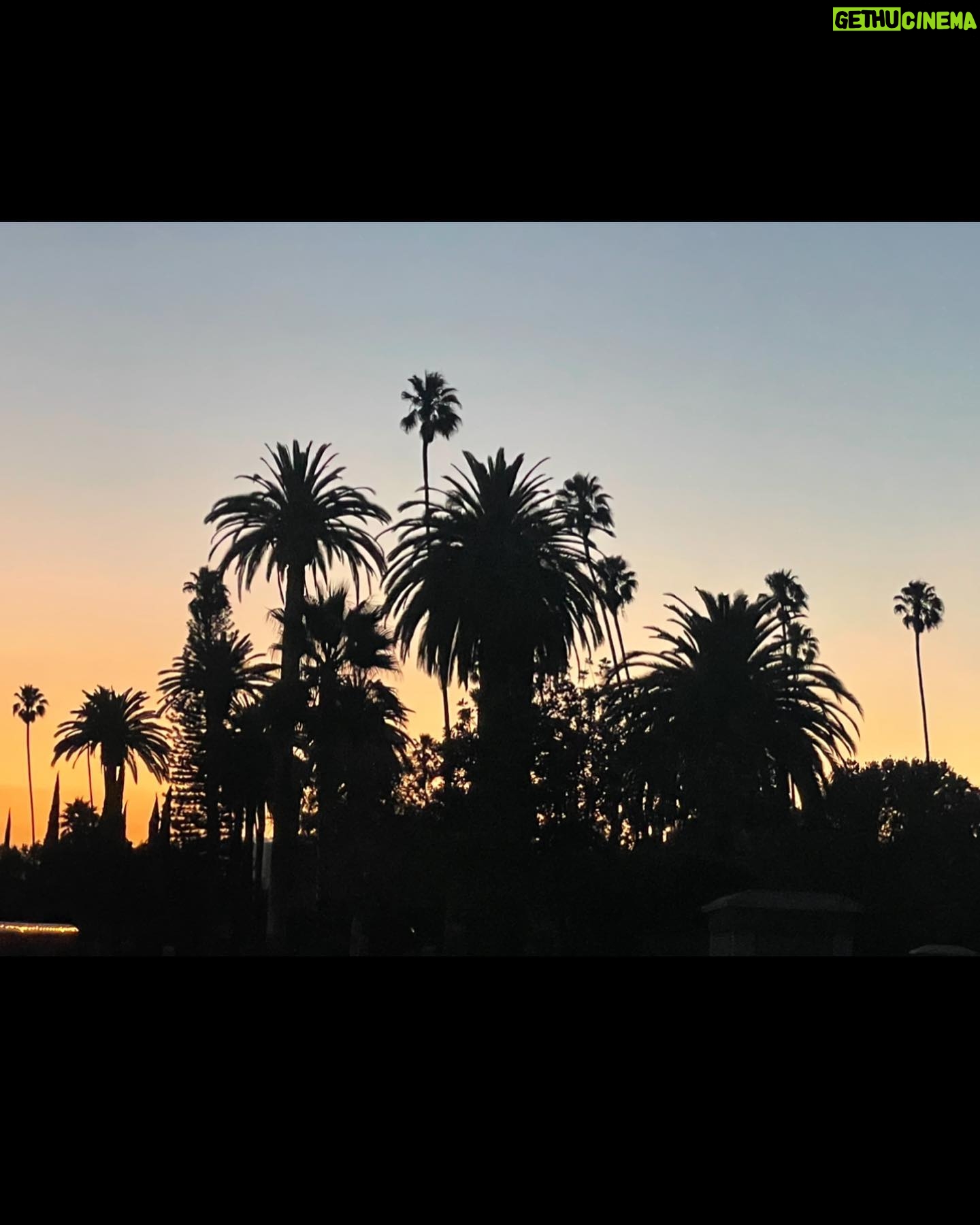 Christina Hendricks Instagram - It was a beautiful week seeing friends and sharing and seeing music and food and wine. Also a new fascinator by the amazing @jenoart ! @angelolsenmusic is exquisite, to say the least, @jakewesleyrogers came over and shared something VERY NEW AND VERY SPECIAL, getting to experiment with @maryoverthere harp after dinner with lovely new friends, and a very thoughtful gift from @garbage and @ambushinc . It was a sweet one.