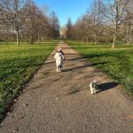 Christine Lampard Instagram - Weekend Winter walks ❄️ 🎄