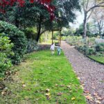 Christine Lampard Instagram - Autumn strolls 🍁 🍂