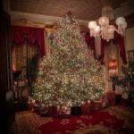 Christine McConnell Instagram - Merry Christmas! ✨🎄✨