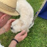 Christopher Meloni Instagram - #makingfriends