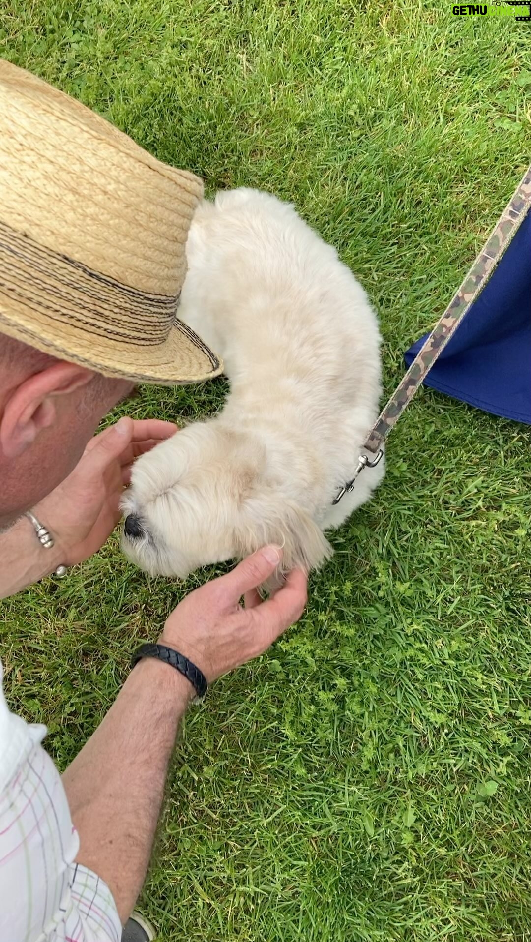 Christopher Meloni Instagram - #makingfriends