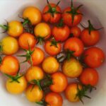 Christopher Meloni Instagram - Summer: Play. Friends. Dogs helping clean up after…slow cooked ribs. Garden tomatoes