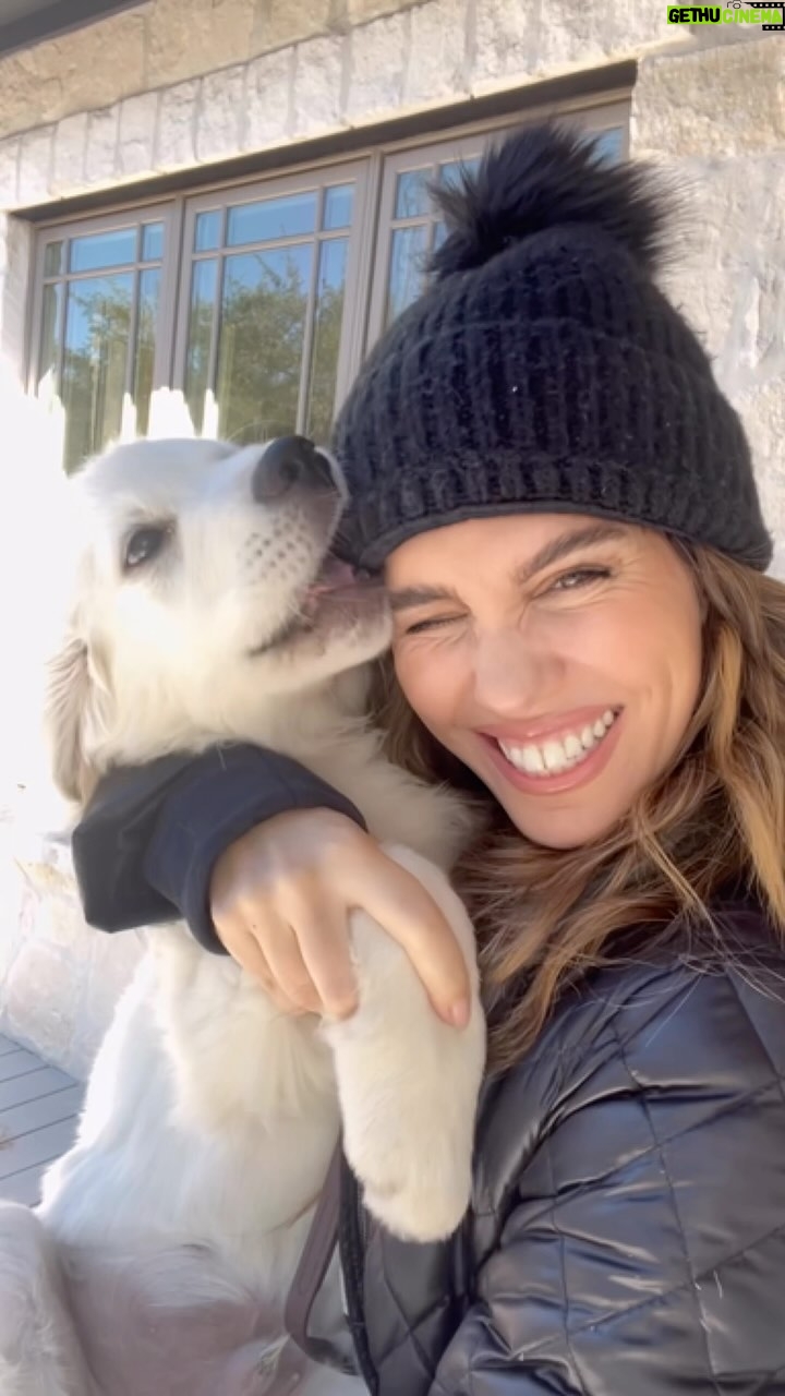Christy Carlson Romano Instagram - Cold Weather Fashion Show with Baby Bear! #ImBabyBear #ad @petsmart #petsmartpartner #animallover #puppy #goldenretriever #puppylove #doglover #dogoutfit