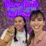 Christy Carlson Romano Instagram – Happiest 7th Birthday Isabella! You’re the coolest cat I know! 😽Mommy and Daddy love you very much!
Hope you had an amazing time at your cat cafe party! @purrfectocatlounge was ameowzing! 😻