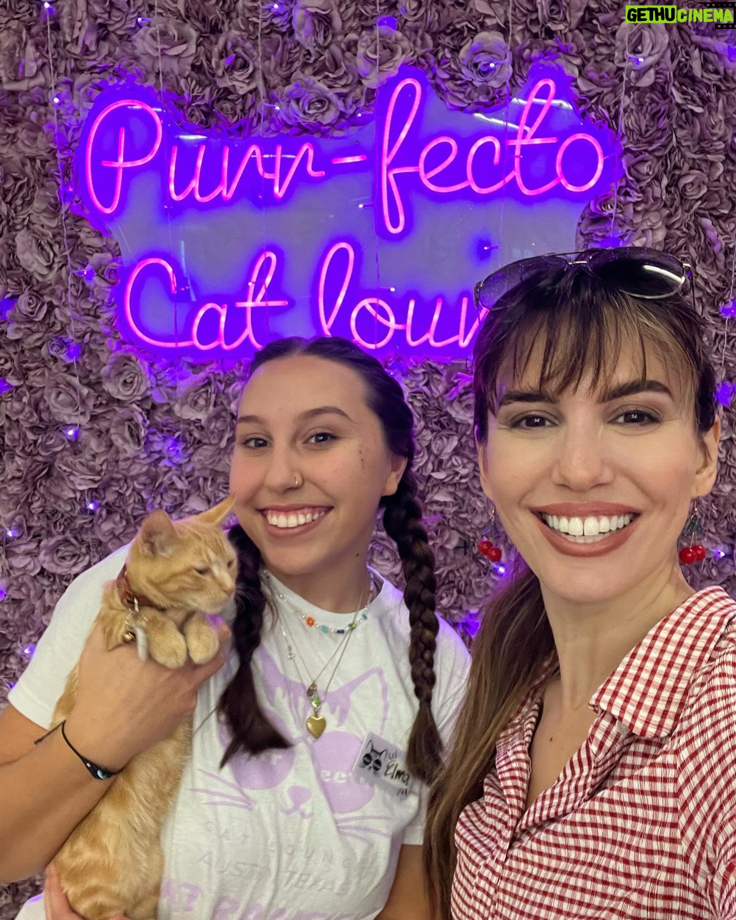 Christy Carlson Romano Instagram - Happiest 7th Birthday Isabella! You’re the coolest cat I know! 😽Mommy and Daddy love you very much! Hope you had an amazing time at your cat cafe party! @purrfectocatlounge was ameowzing! 😻