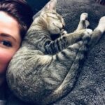 Chyler Leigh Instagram – Link… my sleepy boy #meow #zzz