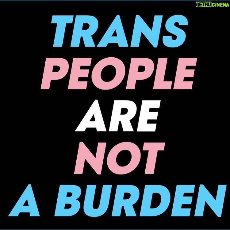 Chyler Leigh Instagram - #TransRightsAreHumanRights