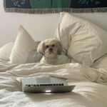 Ciara Bravo Instagram - my assistant working hard to find pictures of bathrooms in my archives. please be patient she is trying her best