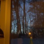 Clairo Instagram - no rhyme or reason, just because 🎶