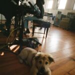 Clairo Instagram - special year in some ways