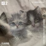 Clairo Instagram - Live on @nts_radio tomorrow - episode 3 made up entirely of submissions 🔊 I went through all your demos, voice notes, sound effects etc and compiled some of my favorites into an hour long special 💙 11am PST/2pm EST