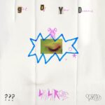 Clairo Instagram - GOYD is out now ! very happy to be a part of this project with @lavalarue @vegynvegyn 🔉 proceeds from the first week of the release (plus merch & zine) going towards @foroursibs 🎬 video link in my bio
