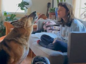 Clairo Instagram - 💝
