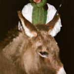 Clairo Instagram - i played flute for a donkey