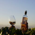 Clara Alonso Instagram - Un regalo. Viajar a Valle de Uco, Mendoza, a disfrutar de los pequeños placeres. Un rico vino, un atardecer en la montaña, comida casera, nuevos amigos, charlas inspiradoras. Un fogón y un concierto acústico, guiar una meditación para los demás, una pausa a la calma y al disfrute. Gracias @lacelia.arg por este viaje inolvidable. Gracias por traernos a conocer el corazón de sus vinos. Chin chin♡