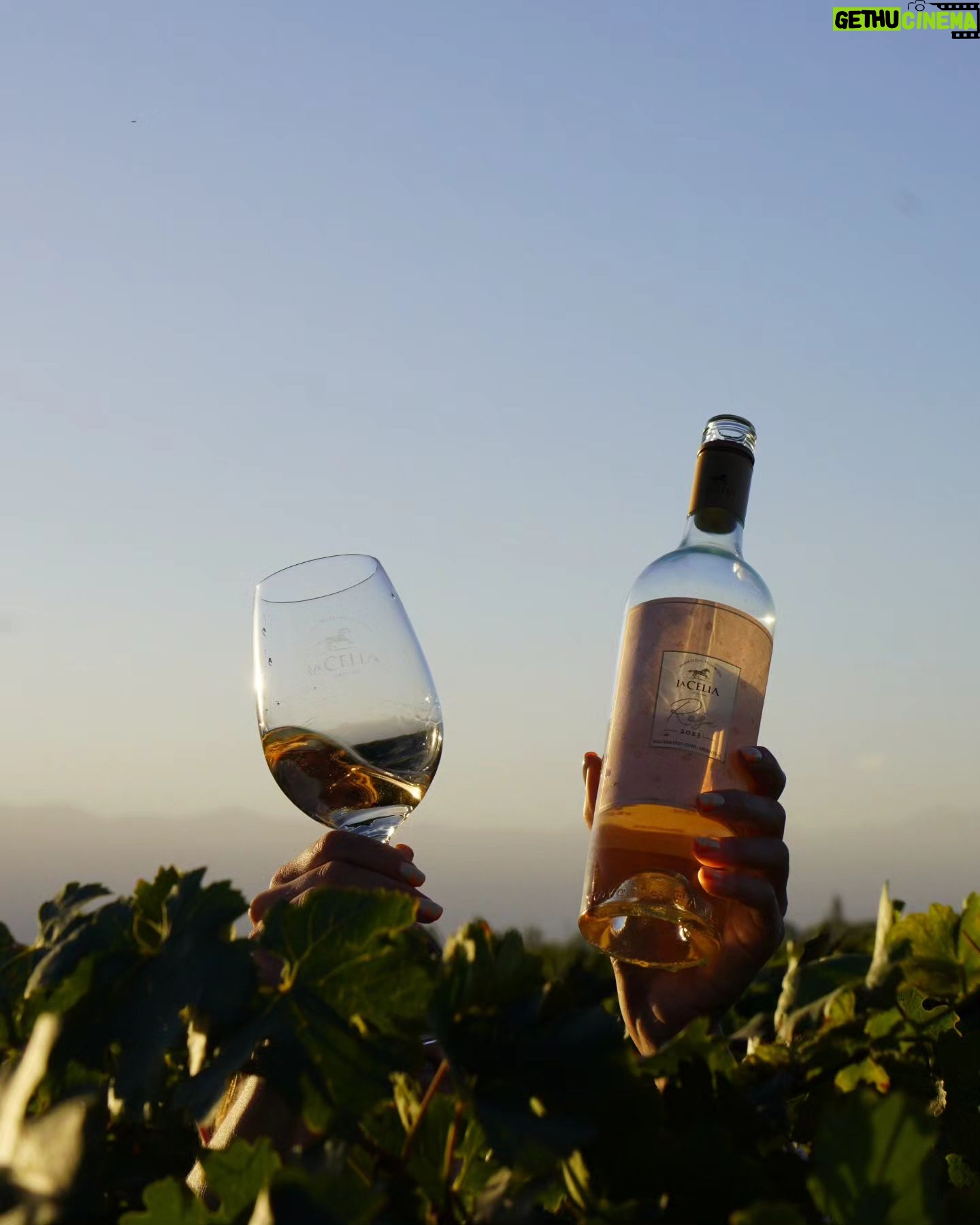 Clara Alonso Instagram - Un regalo. Viajar a Valle de Uco, Mendoza, a disfrutar de los pequeños placeres. Un rico vino, un atardecer en la montaña, comida casera, nuevos amigos, charlas inspiradoras. Un fogón y un concierto acústico, guiar una meditación para los demás, una pausa a la calma y al disfrute. Gracias @lacelia.arg por este viaje inolvidable. Gracias por traernos a conocer el corazón de sus vinos. Chin chin♡