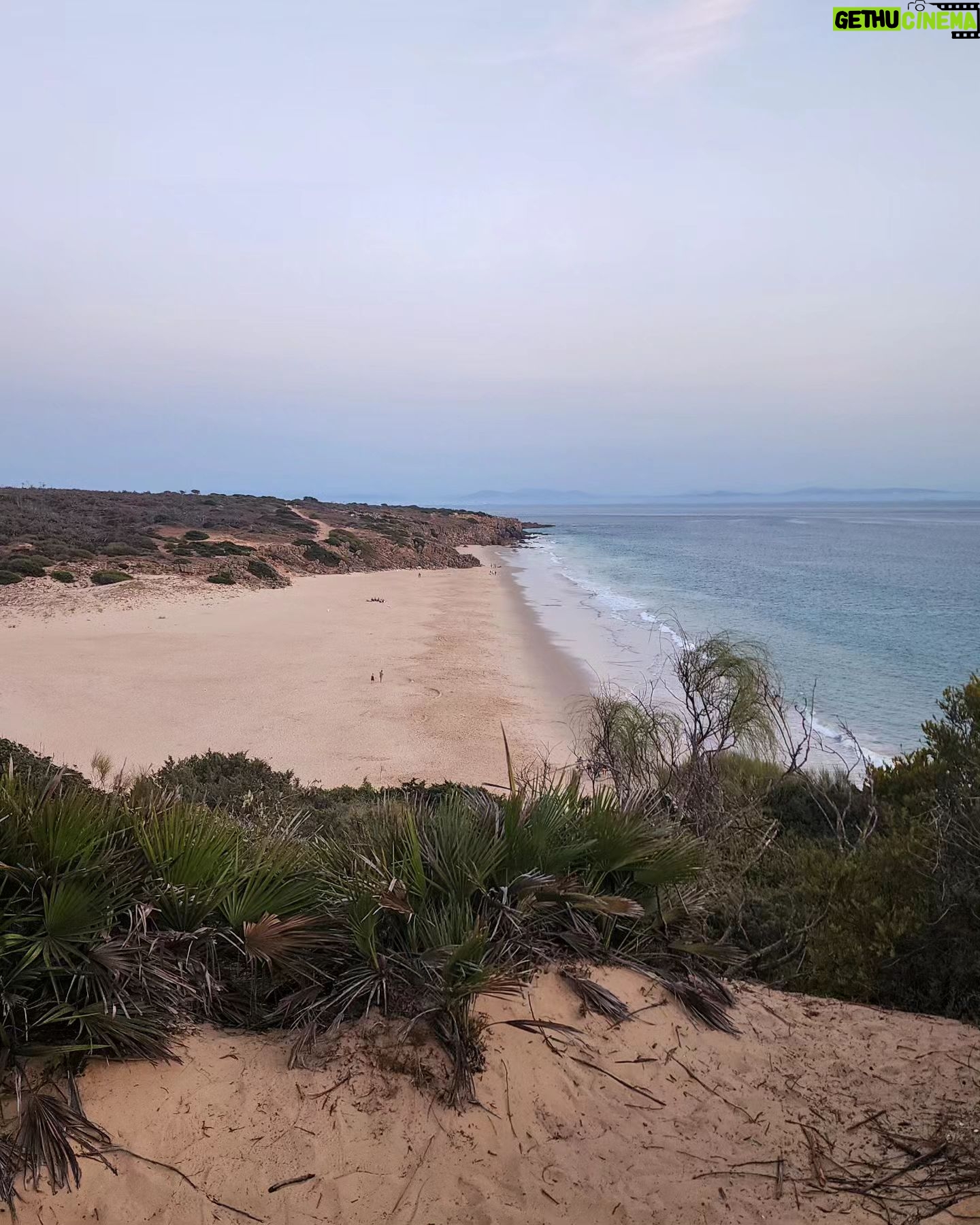 Clara Alonso - 15.4K Likes - Cuando era chica, generalmente viajaba con mi familia 15 días a la playa en verano. Recuerdo la melancolía que me daba despedirme y ver el mar por última vez hasta el siguiente verano.
Al crecer, eso fue cambiando. Me encanta que la vida me sorprenda llegando a la playa en momentos inesperados.
Para mi la playa es mar, es desconectar, es hacer yoga, es meter los pies en el agua, es quedarme hasta que se vaya el sol. Es tomar mates, jugar a las cartas, es llenarme de arena.
Algunas fotitos de una aventura express a Cádiz.