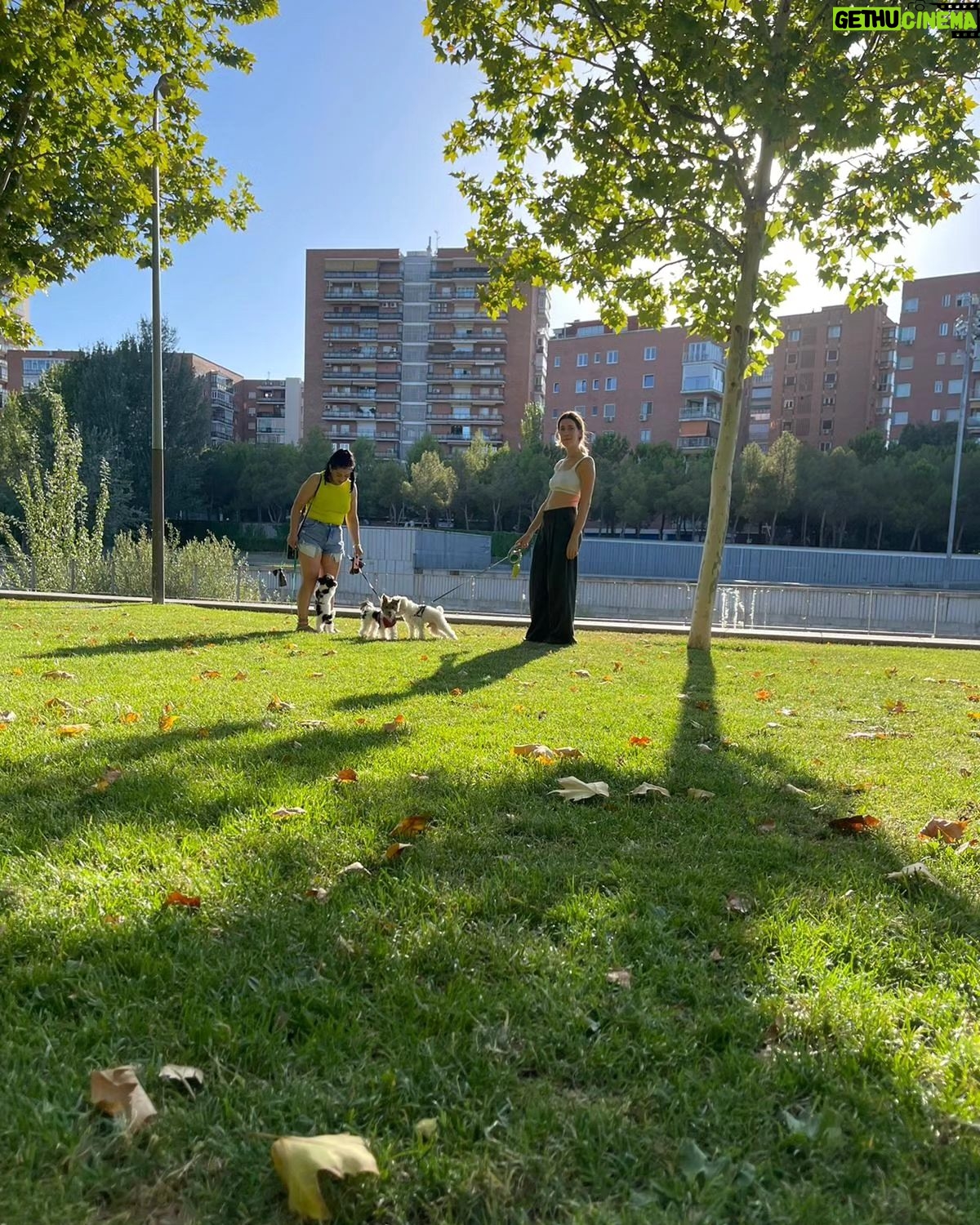 Clara Alonso Instagram - Mix de cositas de un finde MUY caluroso en Madrid. Comida, bailecitos, guitarra, paseos, Vicente, novio, amigos, procrastinar cosas. Mucha bici, poca energía, mucha sed. Disfrutando de todo. ¿Ustedes?