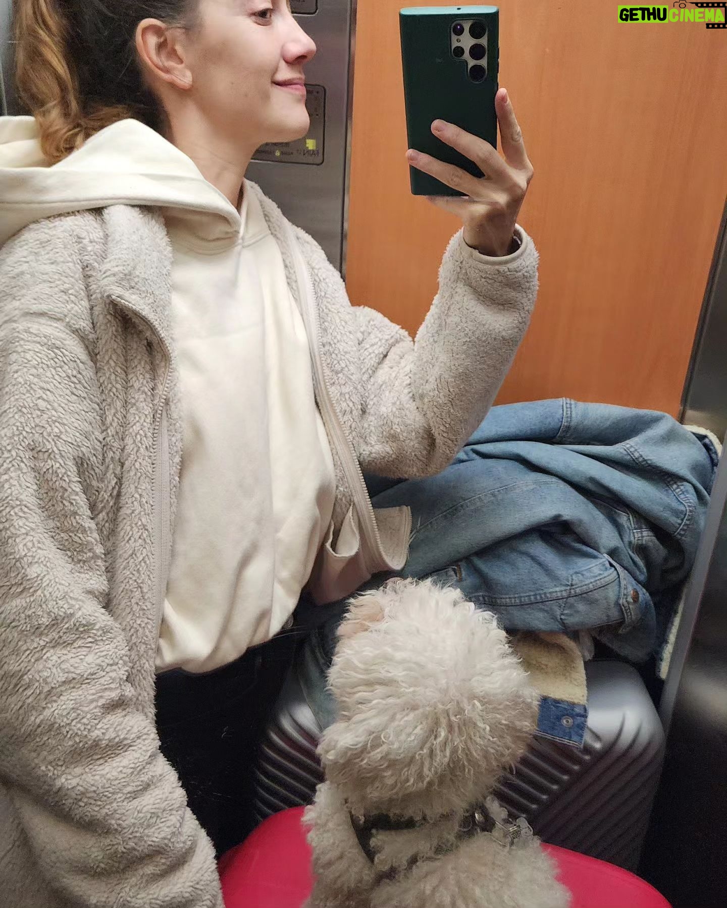 Clara Alonso - 16.2K Likes - Cosas de la vuelta y de las vueltas de la vida.
Es que nada es lineal, y la incertidumbre está a cada paso.
Este año tuve la aventura de mi vida, y ya estoy de regreso en Buenos Aires, para empezar otra. Otra etapa, otro recorrido empieza una vez más, incierto y emocionante como cada paso por al que me animo a lanzarme.
Estoy agradecida y feliz. Y claro, angustiada por momentos tb (foto 2).
Gracias a la vida por este año tan espectacular.
(Los grititos sorprendiendo a mis amigas en el último video)