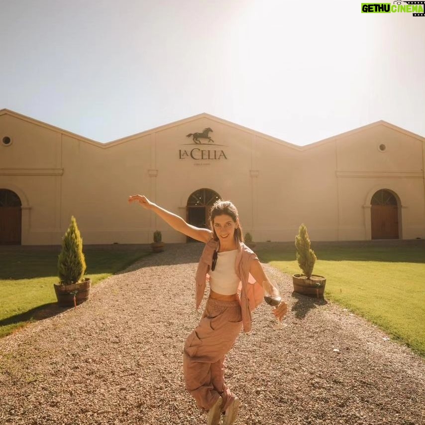 Clara Alonso Instagram - Un regalo. Viajar a Valle de Uco, Mendoza, a disfrutar de los pequeños placeres. Un rico vino, un atardecer en la montaña, comida casera, nuevos amigos, charlas inspiradoras. Un fogón y un concierto acústico, guiar una meditación para los demás, una pausa a la calma y al disfrute. Gracias @lacelia.arg por este viaje inolvidable. Gracias por traernos a conocer el corazón de sus vinos. Chin chin♡