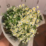 Claudia Sulewski Instagram - 🌸🌼🌻🌷🪻do you sense it too