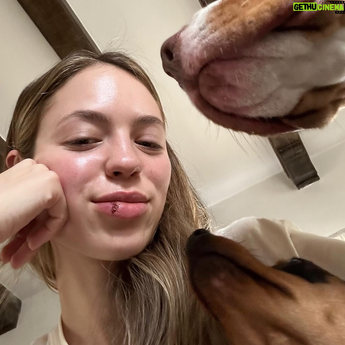 Claudia Sulewski Instagram - lip stitches my little snitches