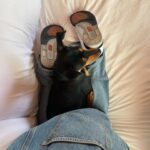 Claudia Sulewski Instagram – lip stitches   my little snitches