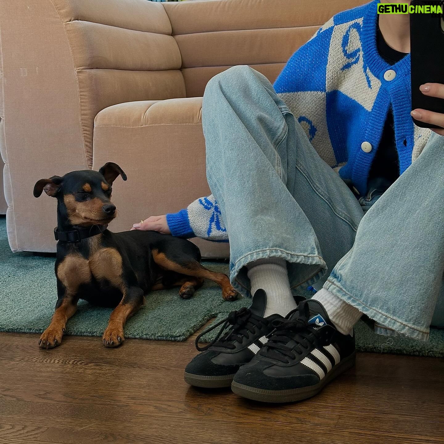 Claudia Sulewski Instagram - then 3 became 4 🤎 meet mousse. this little man wasted no time charming his way into our hearts and most importantly peaches’🫀thank you @tailsofthecityrescue for being so thoughtful with your adoption process. over the last 3 weeks we’ve watched these two tug, tussle, chase, cuddle and share every cozy corner of our home together. it’s been the sweetest thing to witness. the little man is here to stay.