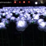 Claudia Winkleman Instagram - This is the @everaftergarden which is open between 3 & 9pm daily in Grosvenor Square until the 19th December, where you can dedicate a rose. There is a suggested donation of £10 & all funds raised support @royalmarsden. Or dedicate online www.royalmarsden.org and volunteers will handwrite a dedication for you and plant in the garden. 🤍