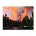 Cobie Smulders Instagram - The planet is on fire. Today in Los Angeles temperatures reached 120 degrees. According to the California Department of Forestry and Fire Protection, more than 1.8 million acres of land have burned this year. @americanredcross is accepting volunteers and donations to help here in California. More ways to help linked in my stories. This is a global issue. The Amazon is also on fire as are parts of my home Province British Columbia. While many factors are at play climate change is at the forefront. We need to look forward and elect officials that will prioritize our safety and the health of our planet. Consider aligning yourself with organizations like @sierraclub and @earthalliance who are committed to climate action. 🌲 📸Erik Paul Zamora
