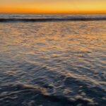Cobie Smulders Instagram - If you are willing and able, please join me for @oceanconservancy’s 2021 #InternationalCoastalCleanup, the world's largest volunteer effort to keep our ocean free of trash! Starting September 18, do your part to keep our waterways clean by connecting with your family and friends, choosing a location, and taking on the litter that congests our coasts. Go to the link in @oceanconservancy’s bio to learn how you can #ConnectAndCollect