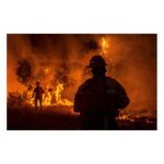Cobie Smulders Instagram - This post does not accurately portray my gratitude to the men and women who are fighting the fires happening here in the Pacific Northwest and around the world. Thank you for saving our lives, homes, pets and planet. I found a great article linking to different ways you can help I’ll put in it my stories. Please share any other resources you have.