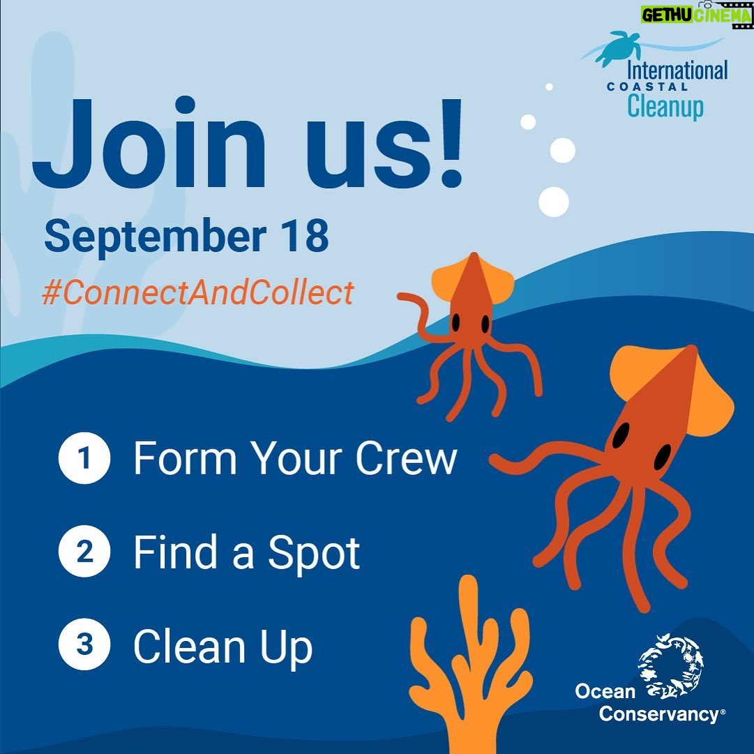 Cobie Smulders Instagram - If you are willing and able, please join me for @oceanconservancy’s 2021 #InternationalCoastalCleanup, the world's largest volunteer effort to keep our ocean free of trash! Starting September 18, do your part to keep our waterways clean by connecting with your family and friends, choosing a location, and taking on the litter that congests our coasts. Go to the link in @oceanconservancy’s bio to learn how you can #ConnectAndCollect