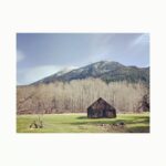 Cobie Smulders Instagram - Happy place. 💚