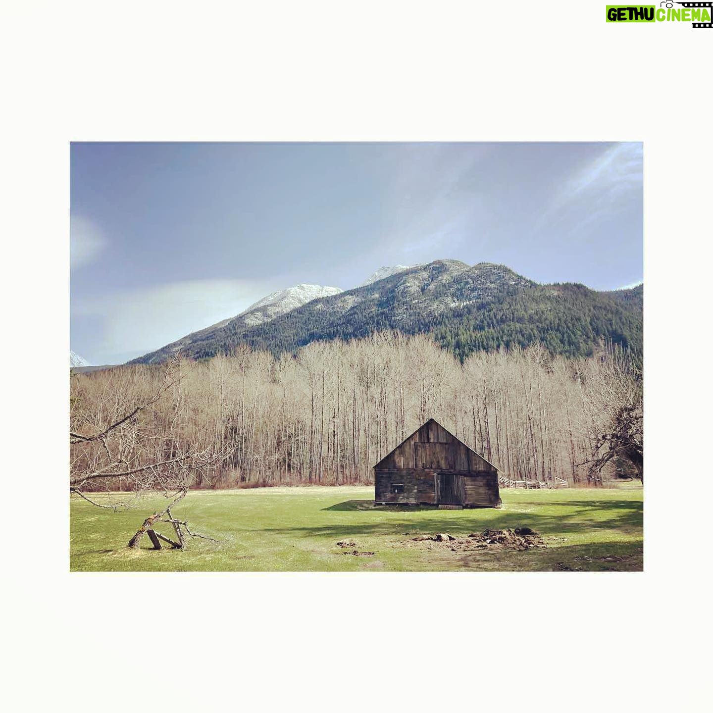 Cobie Smulders Instagram - Happy place. 💚