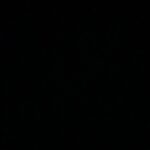 Cobie Smulders Instagram - #blackouttuesday