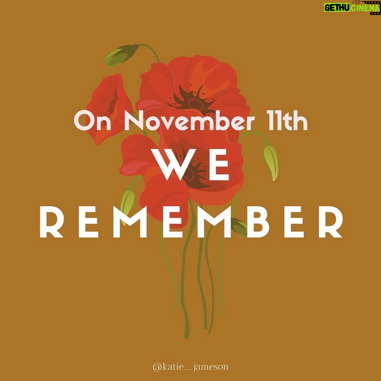 Cobie Smulders Instagram - Thank you Veterans around the world who put their lives on the line to protect others. #veteransday #rememberanceday
