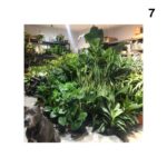 Cobie Smulders Instagram - Here are some crazy amazing businesses you can shop to spruce up your home space. Go to my stories to swipe up and connect directly. ❤️ 1. @thejungalow - Beautiful bohemian-modern home decor. 2. @biablooms - Epic Flower shop delivering in Los Angeles. 3. @hailethomas - A Wellness Compassion Activist who has an incredible plant based cooking book coming out. 4. @rayoandhoney - Handcrafted goods combining affirmations and black pop-culture references. 5. @goodeeworld - A marketplace where good design meets good purpose. 6. @45threemodernvintage - A Furniture and Art shop in Los Angeles, ships worldwide. 7. @nattygarden - A super cool Brooklyn-based garden store. 8. @clarepaint - A zero VOC paint company with insane color options. 9. @batiqua - A Fair trade eco-friendly Home Decor company out of my hometown Vancouver BC! 🇨🇦