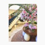 Cobie Smulders Instagram - A weekend at @thecharlestonplace 🌸💐 #thecharlestonplace