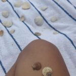 Coco Quinn Instagram - Just a bit of everything 🐚